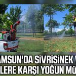 Samsun'da sivrisinek ve haşerelere karşı yoğun mücadele