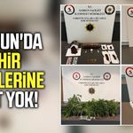 Samsun'da zehir tacirlerine geçit yok!