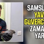 Samsun'da yavru güvercin için zamanla yarış