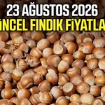 23 Ağustos 2026 güncel fındık fiyatları