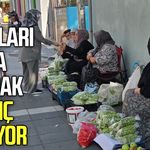 Samsun'da ev kadınları bamya satarak geçimini sağlıyor