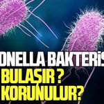 Salmonella bakterisi nedir, nasıl bulaşır ve nasıl korunulur?