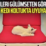 Samsun'da görenleri gülümseten görüntü, yavru kedi koltukta uyuyakaldı