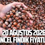 20 Ağustos 2026 güncel fındık fiyatları