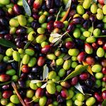 Baktat Zeytin'e mahkemeden kritik karar! 1 yıllık kesin mühlet