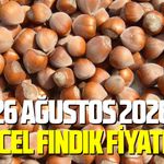26 Ağustos 2026 güncel fındık fiyatları