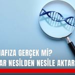 Genetik hafıza gerçek mi? Travmalar nesilden nesile aktarılır mı?