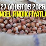 27 Ağustos 2026 güncel fındık fiyatları