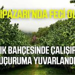 Salıpazarı’nda feci olay: 15 metreden uçuruma yuvarlandı