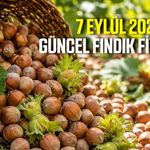 7 Eylül 2026 güncel fındık fiyatları