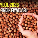 9 Eylül 2026 güncel fındık fiyatları