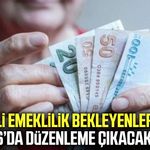 Kademeli emeklilik çıkacak mı?