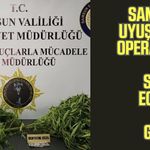 Samsun'un 3 ilçesinde eş zamanlı uyuşturucu operasyonu!