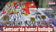 Samsun’da hamsi bolluğu tezgahlara yansıdı