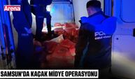 Samsun'da kaçak midye operasyonu