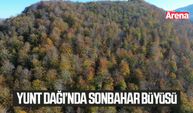 Yunt Dağı’nda sonbahar büyüsü