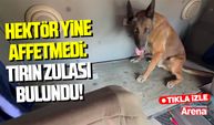 Hektör yine affetmedi: Tırın zulası bulundu!