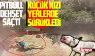 Samsun’da pitbull dehşeti: Kızı yerden yere vurdu!