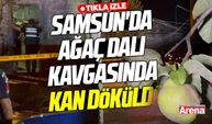 Samsun'da ağaç dalı kavgasında kan döküldü