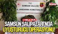 Samsun Salıpazarı'nda uyuşturucu operasyonu