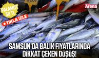 Samsun’da palamut bolluğu fiyatlara yansıdı