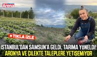 İstanbul’dan Samsun’a geldi, tarıma yöneldi!