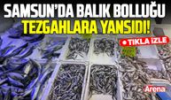 Samsun’da balık bolluğu tezgahlara yansıdı! palamut 50 liraya düştü