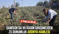 Samsun’da iki kadın girişimciden 25 dönümlük aronya hamlesi