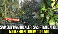 Samsun’da görenleri şaşırtan bahçe! 50 ülkeden tohum topladı
