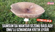 OMÜ’lü uzmandan mantar uyarısı: Doğadan toplayıp tüketmeyin!
