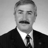 Serdar Oktav