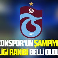 Spor