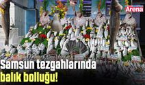 Samsun tezgahlarında balık bolluğu!