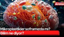 Mikroplastikler soframızda mı? Bilim ne diyor?
