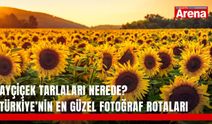 Ayçiçek tarlaları nerede? Türkiye’nin en güzel fotoğraf rotaları