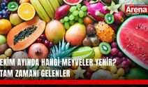 Ekim ayında hangi meyveler yenir? Tam zamanı gelenler