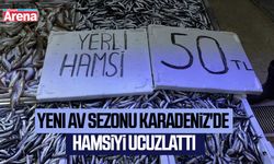 Yeni av sezonu Karadeniz'de hamsiyi ucuzlattı