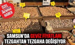 Samsun’da ceviz fiyatları tezgahtan tezgaha değişiyor