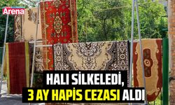 Halı silkeledi, 3 ay hapis cezası aldı