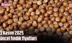 13 Kasım 2025 güncel fındık fiyatları