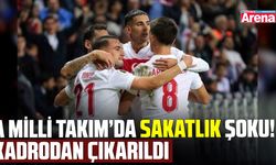 A Milli Takım'da sakatlık şoku!