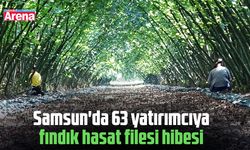 Samsun'da 63 yatırımcıya fındık hasat filesi hibesi