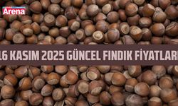 16 Kasım2025 güncel fındık fiyatları