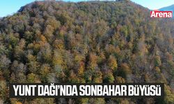 Yunt Dağı’nda sonbahar büyüsü