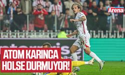 Atom karınca Holse durmuyor!