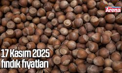17 Kasım 2025 fındık fiyatları açıklandı