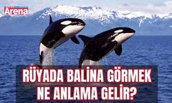 Rüyada balina görmek ne anlama gelir?