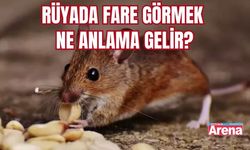 Rüyada Fare görmek ne anlama gelir?