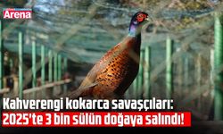 Kahverengi kokarcaya karşı doğal mücadele