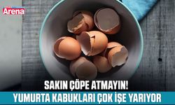 Sakın çöpe atmayın! Yumurta kabukları çok işe yarıyor
